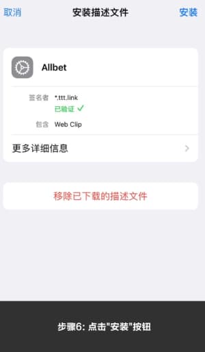 欧博ABG iOS应用安装流程示意图｜苹果端快速部署引导6