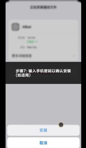 欧博ABG iOS应用安装流程示意图｜苹果端快速部署引导7
